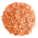 Hortensien Light Orange