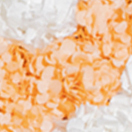 Hortensien Bicolor Light Orange / White